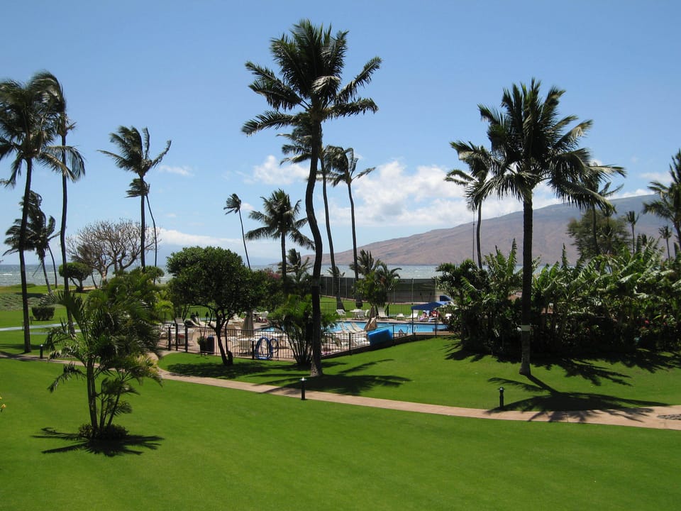 View from lanai looking left