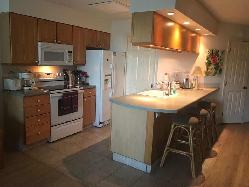Well stocked kitchen with washer & dryer behind the door.  