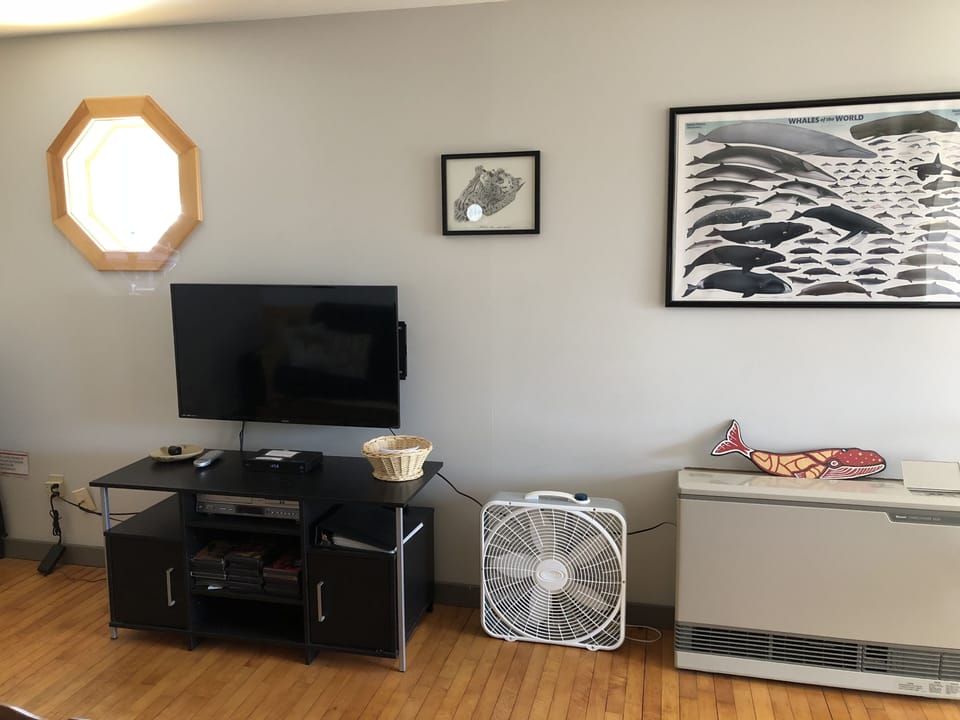 Large screen internet capable TV.   