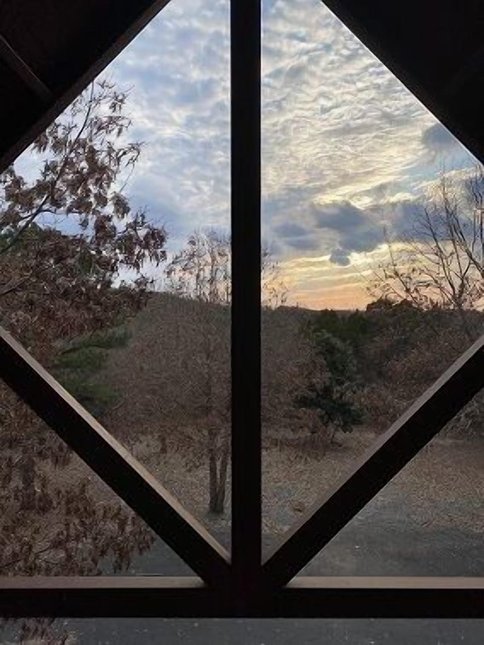 Cabin back deck roof view