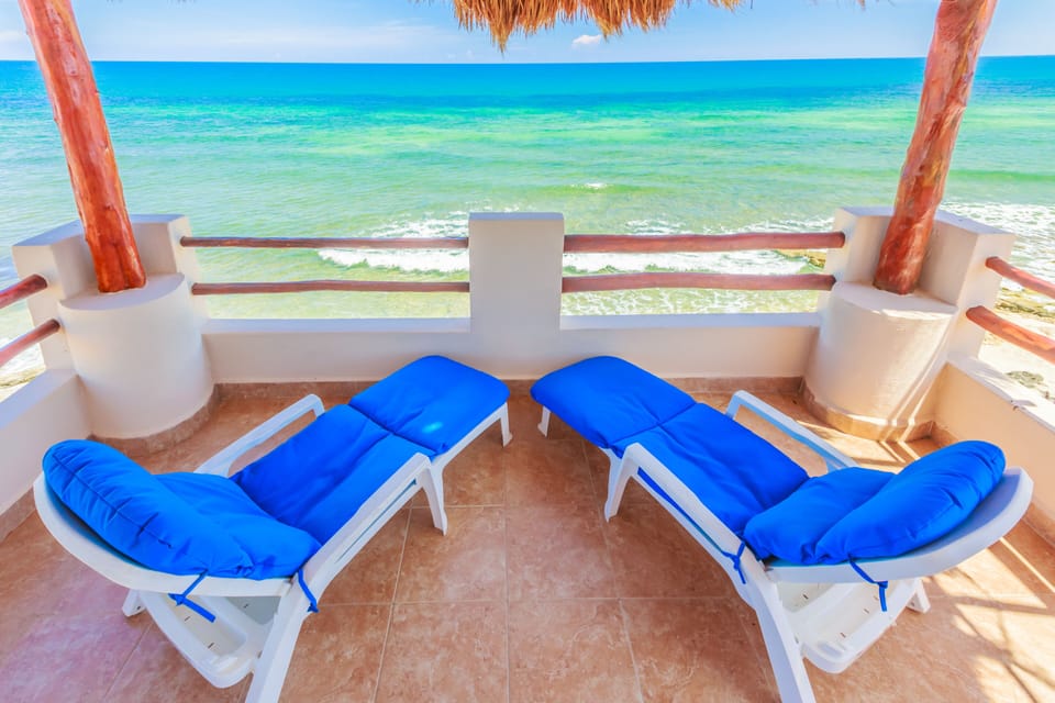 View From Palapa