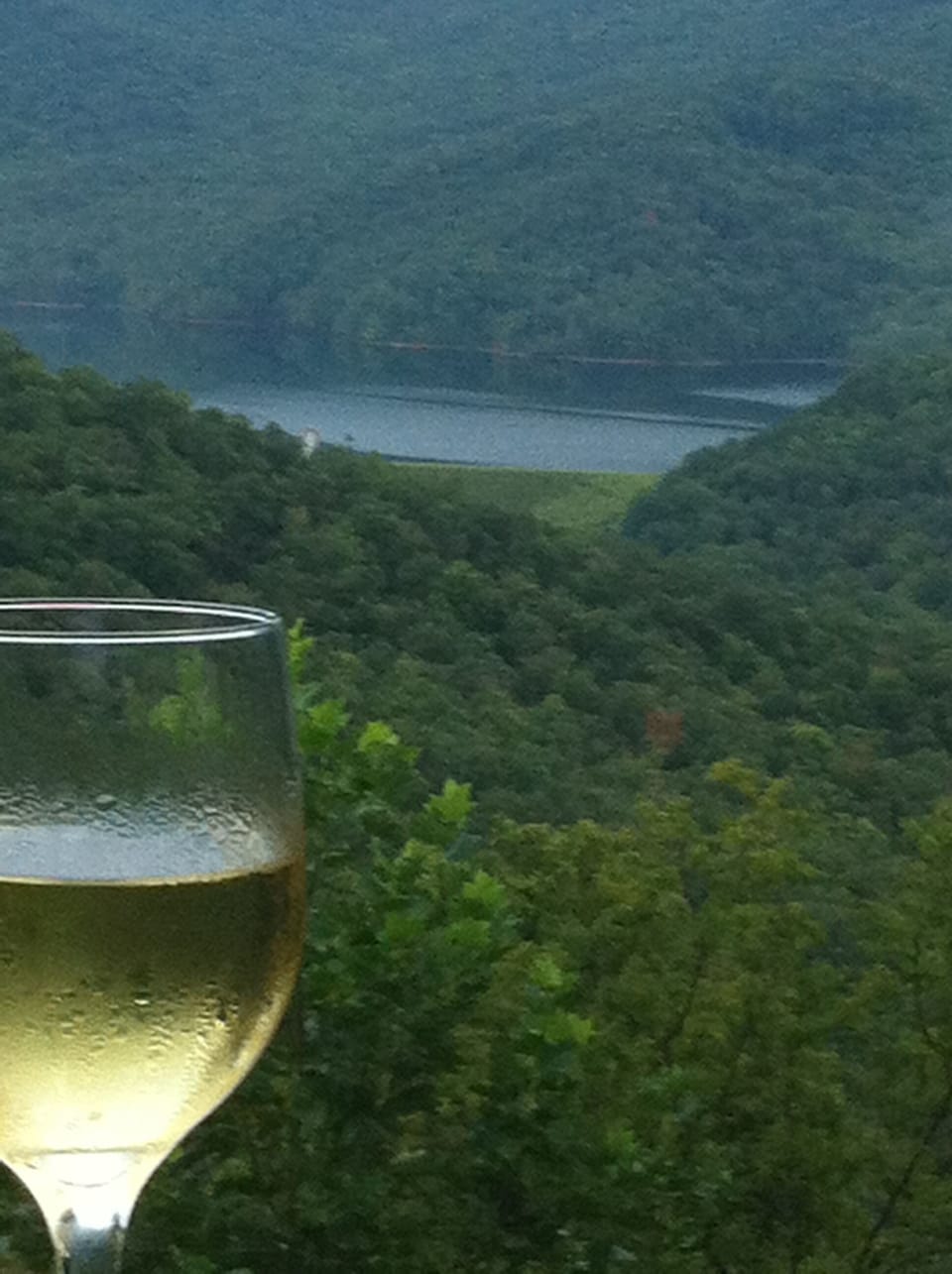 view from the deck off the kitchen