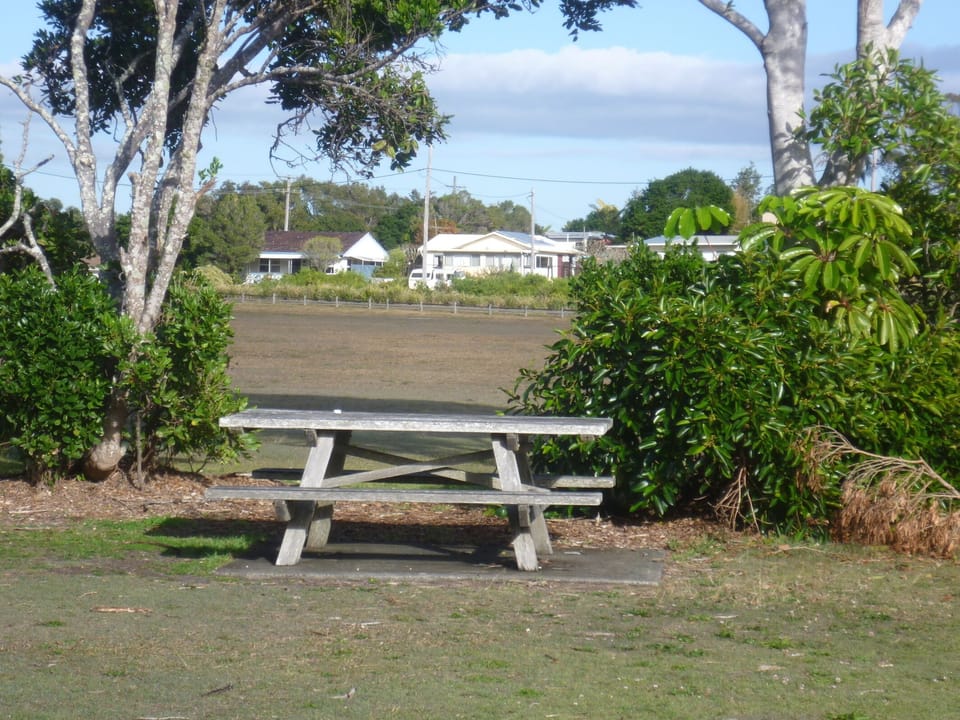 park with house in background