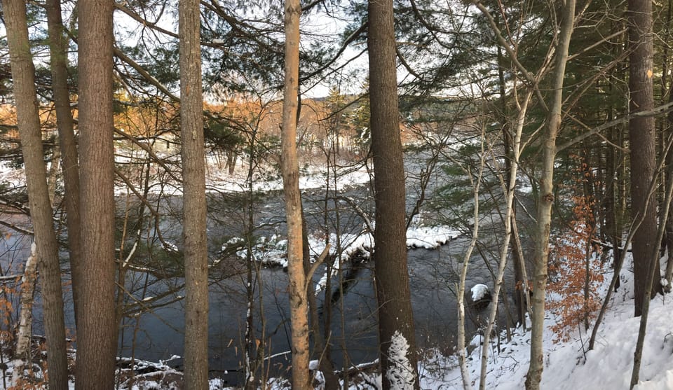 Over 200 feet of riverbank