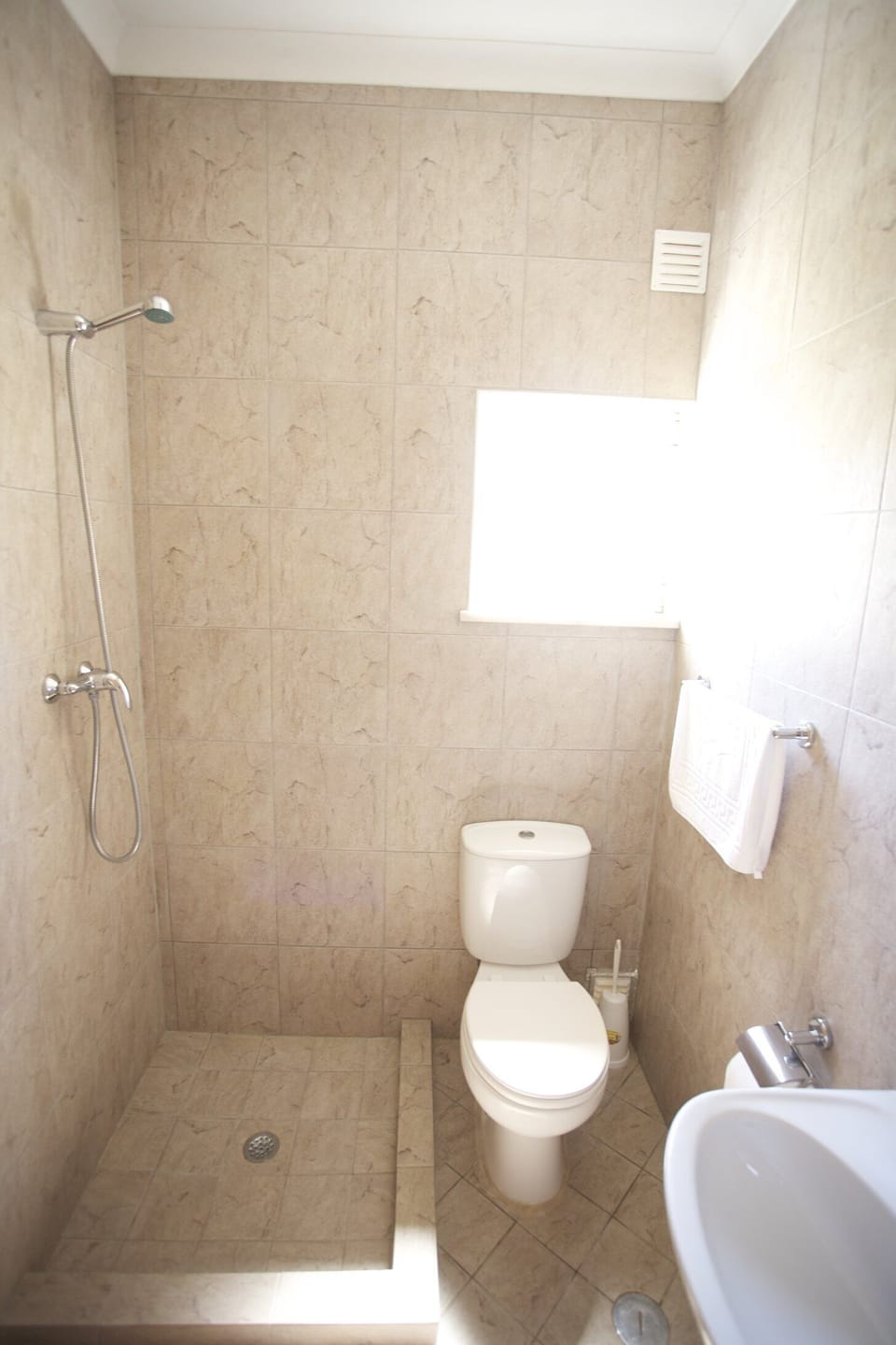 Toilet shower