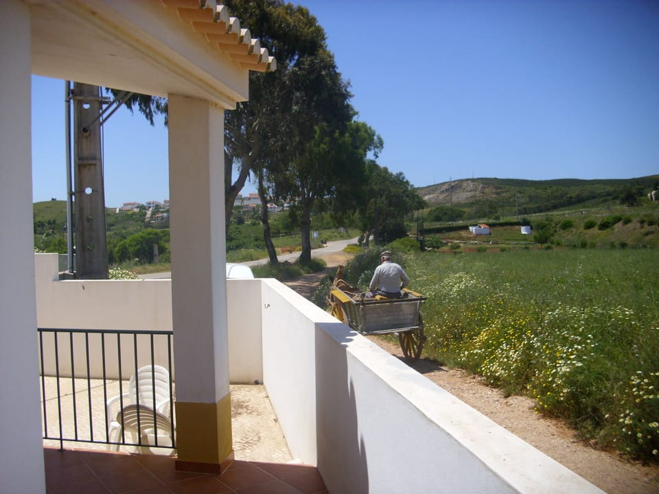 Horse and cart passing outside house