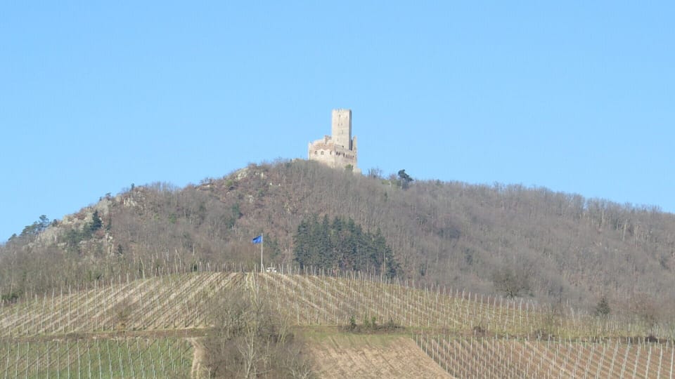 Country Cottage / Gite - SCHERWILLER House in Sélestat