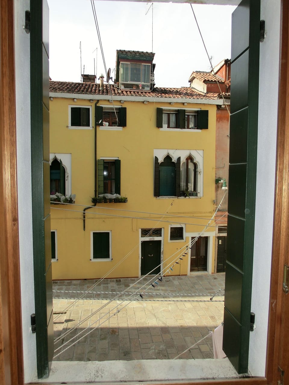 view