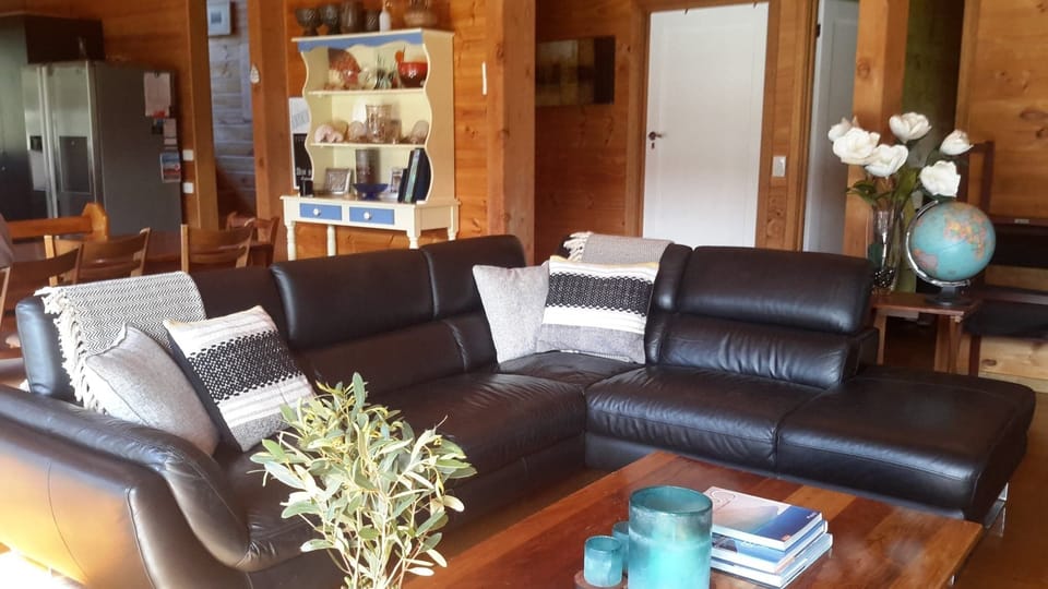 comfy leather lounges
