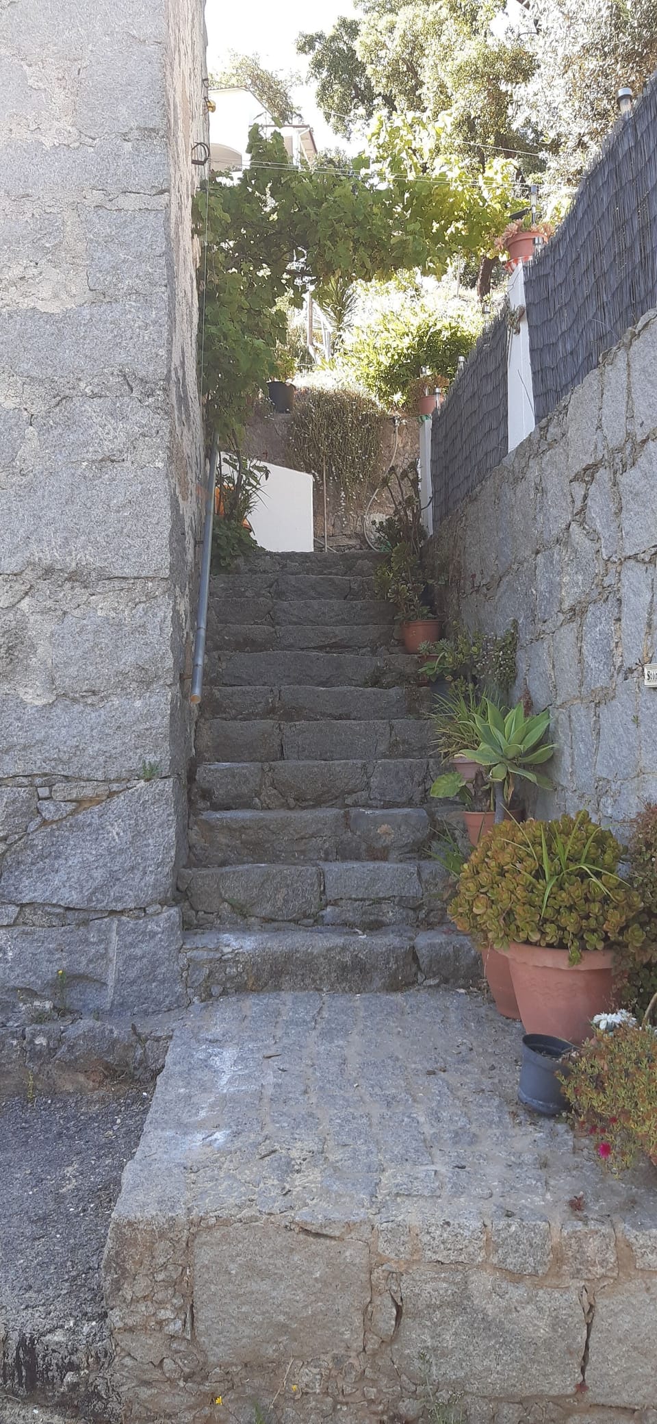 Stairway to Main Entrance and Private Terrace/Pool Area