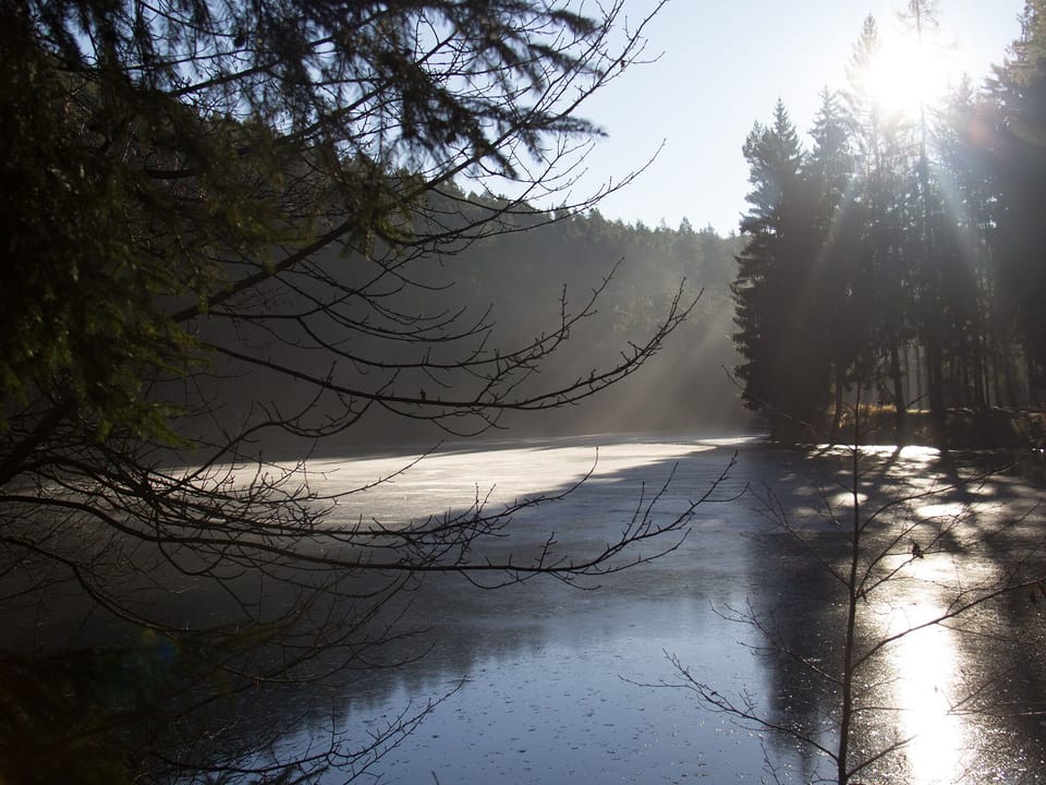 Lake view
