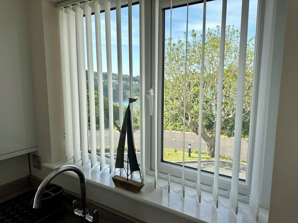 Kitchen window