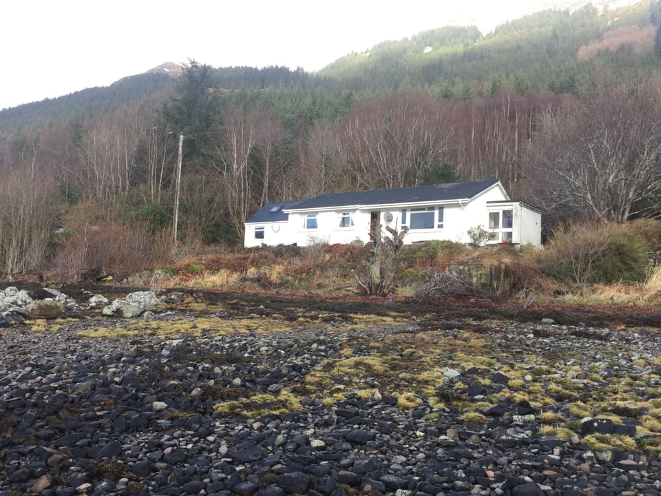 Walk down to the shore from the house , see the wildlife and  the otters .