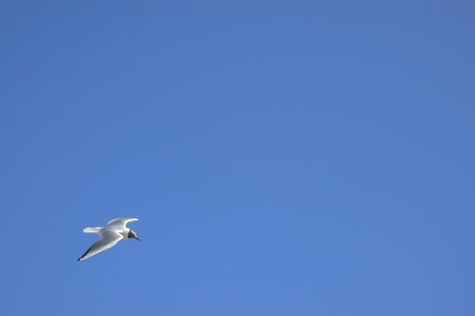 blue skies!