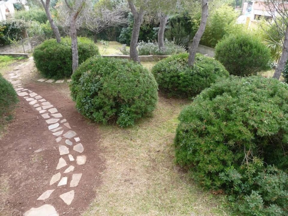 Garden, Park