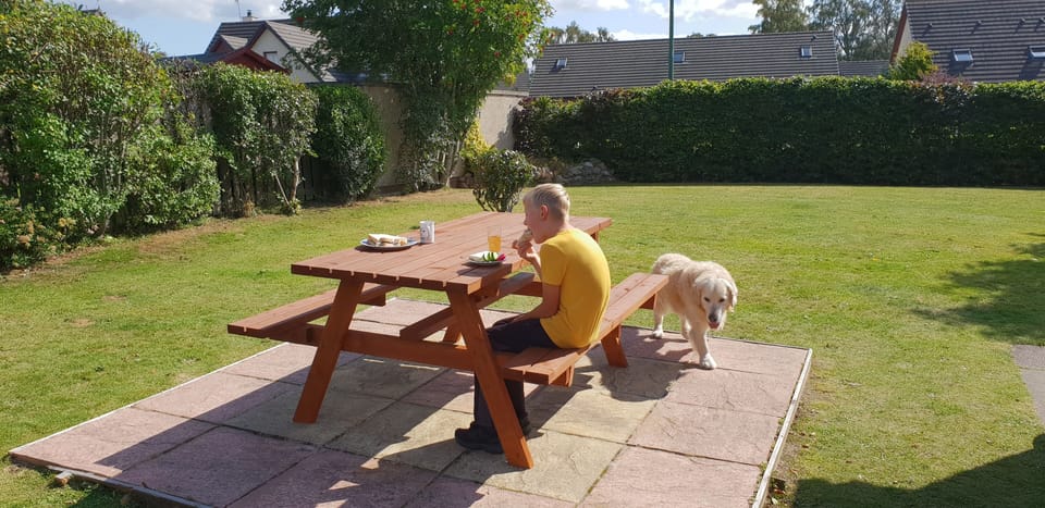 Picnic bench in the garden