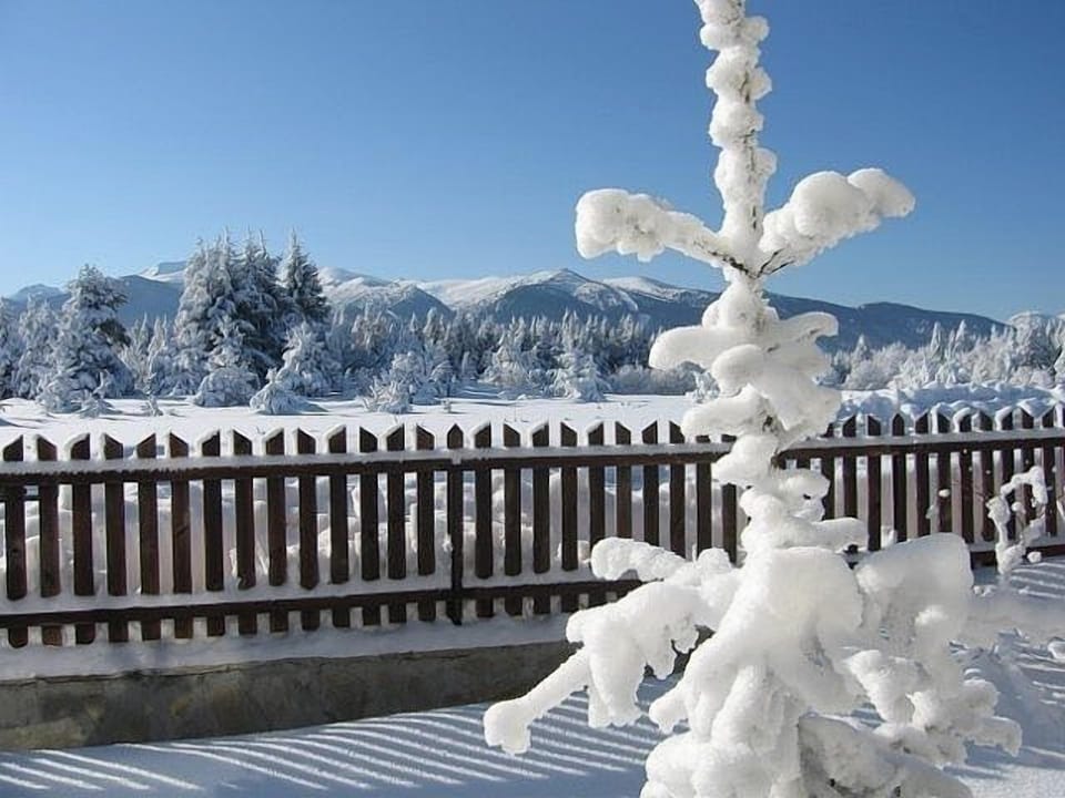 Winter View From Ground Floor Patio