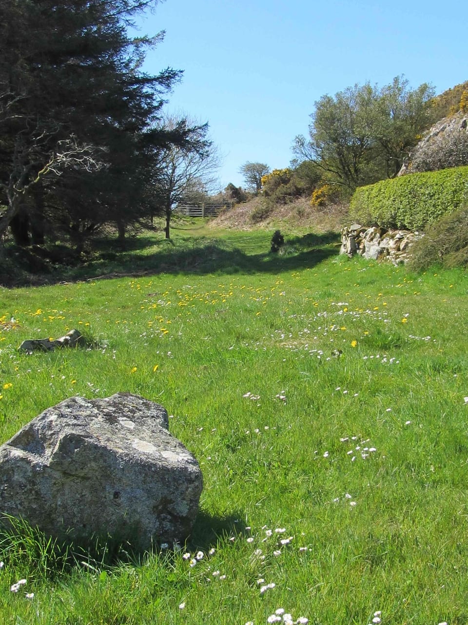 Garnllys valley