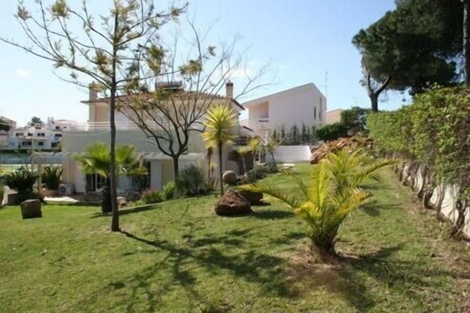 Another View of the garden