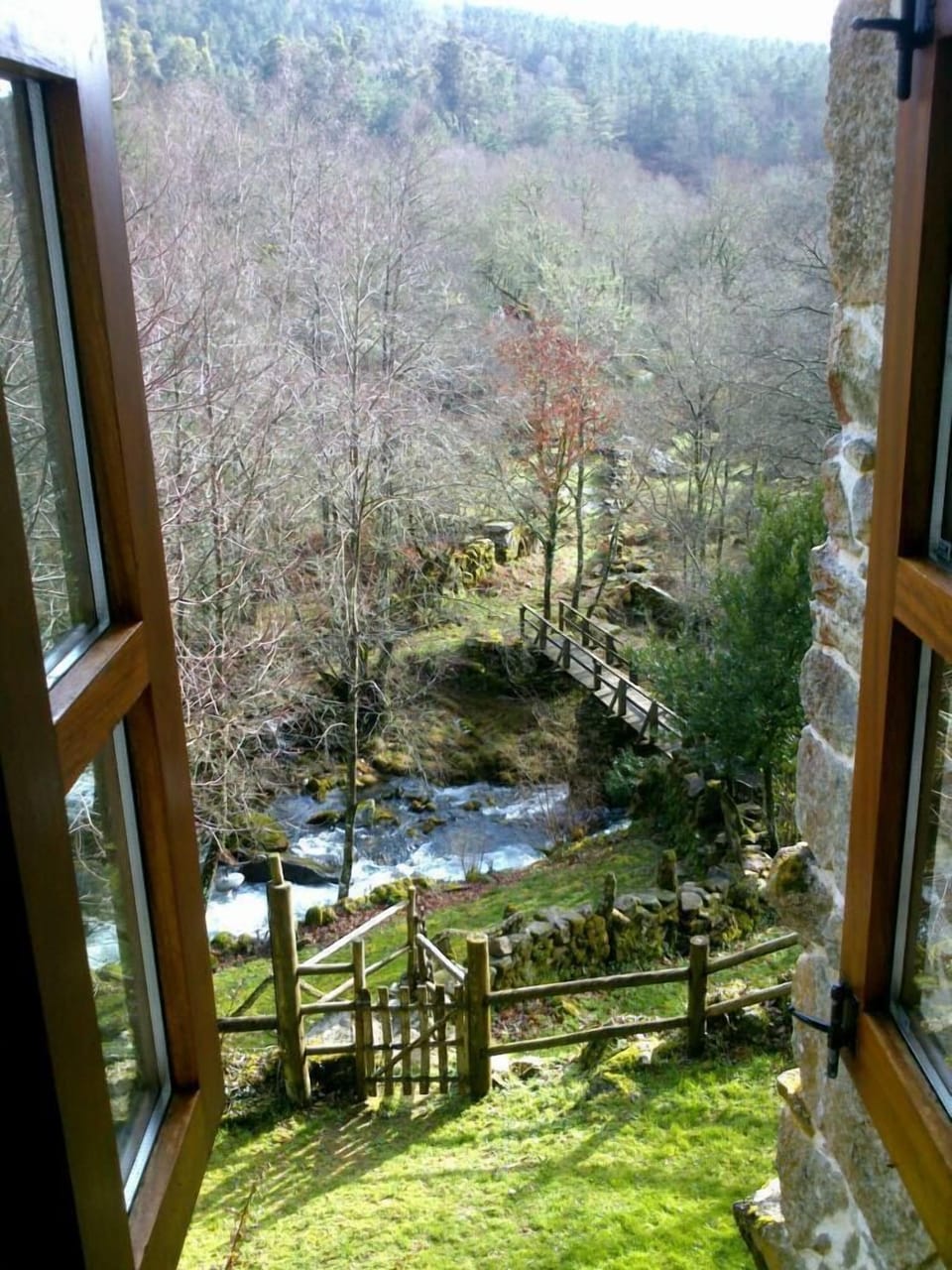 View from the window