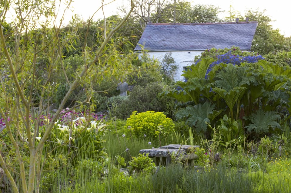Set in the middle of Dyffryn Fernant Garden