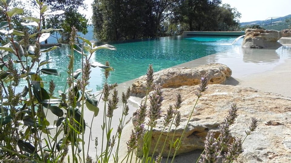 The pool
