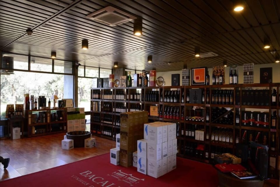 Bacalhoa's Wine Shop (Azeitão)