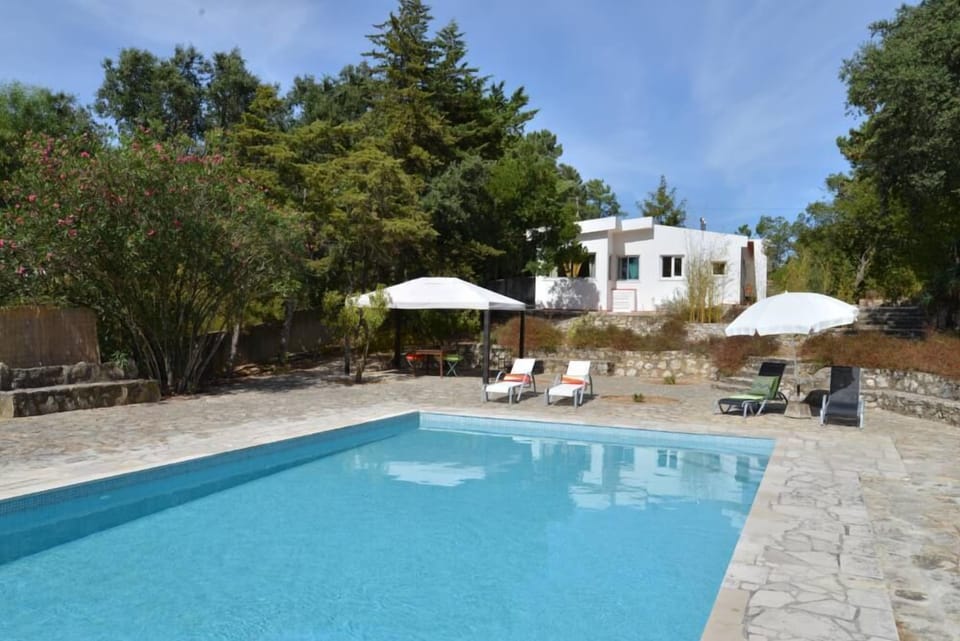 Swimming pool and house outside view