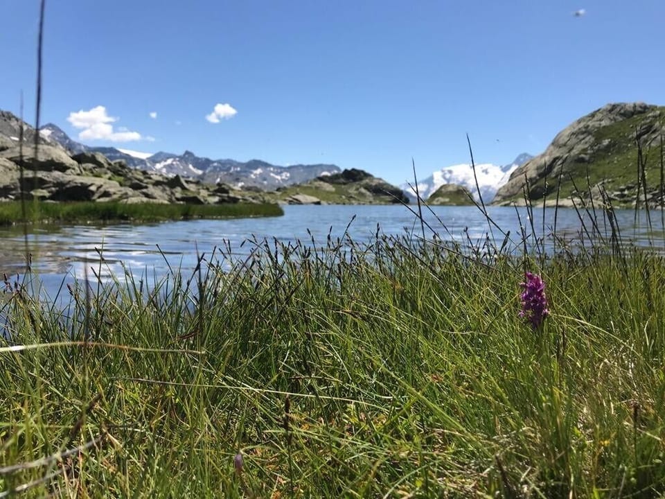 Wild swim in Mountain Lakes