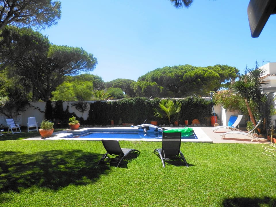The pool in private back garden