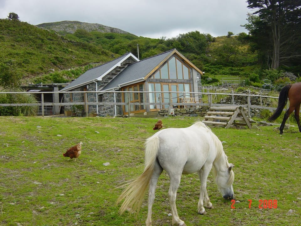 Penty Buwch fields behind