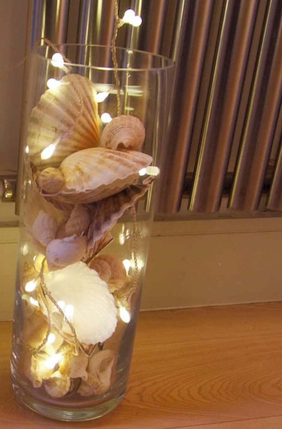 shells