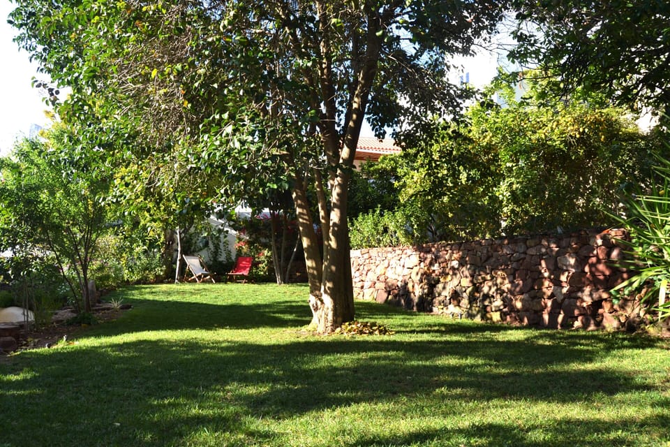 Garden (shared)