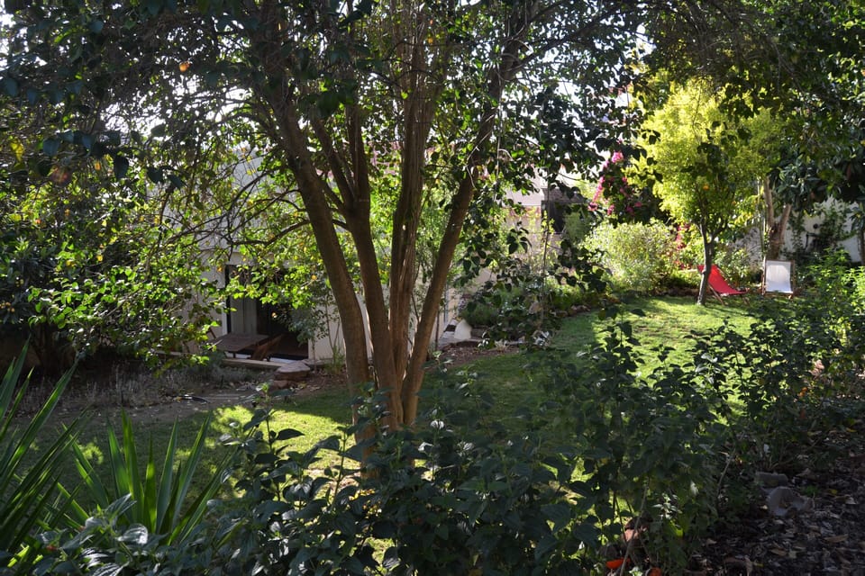 Peaceful garden (shared with guests of second house)