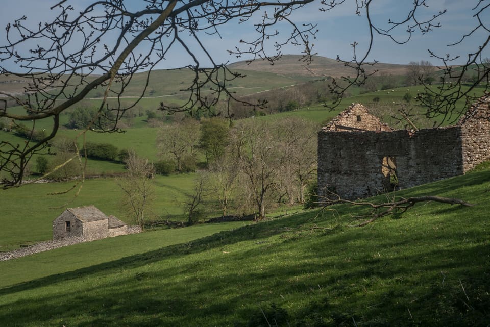 A local view