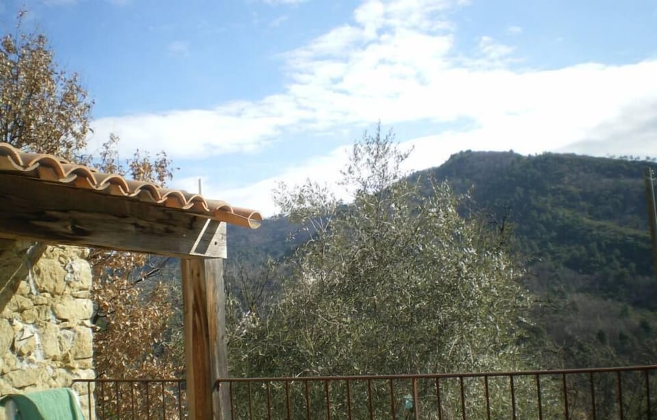 Terrace / Balcony
