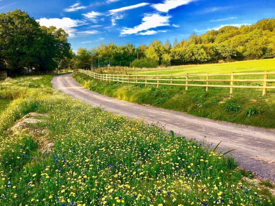 Blackdown Views Road