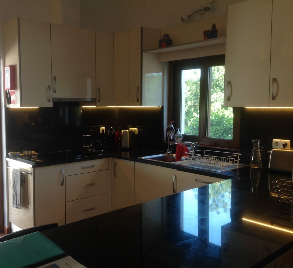 Kitchen with induction hob and dishwasher