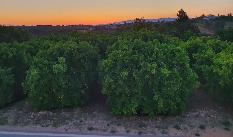 Sunset over Monchique from the roof terrace