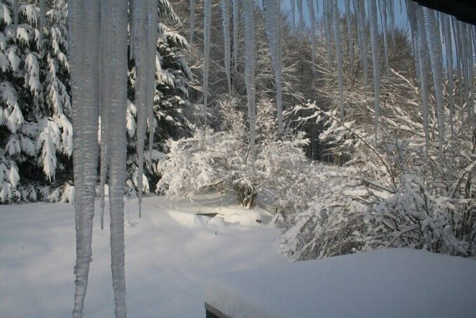 Wintertime in the garden