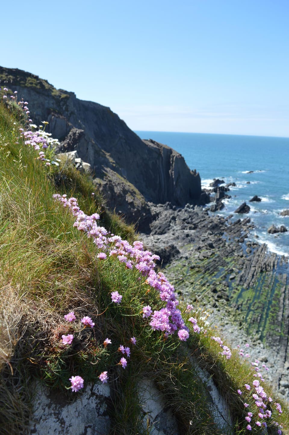 Less than 1 mile away from Marsland beach - a magical place.
