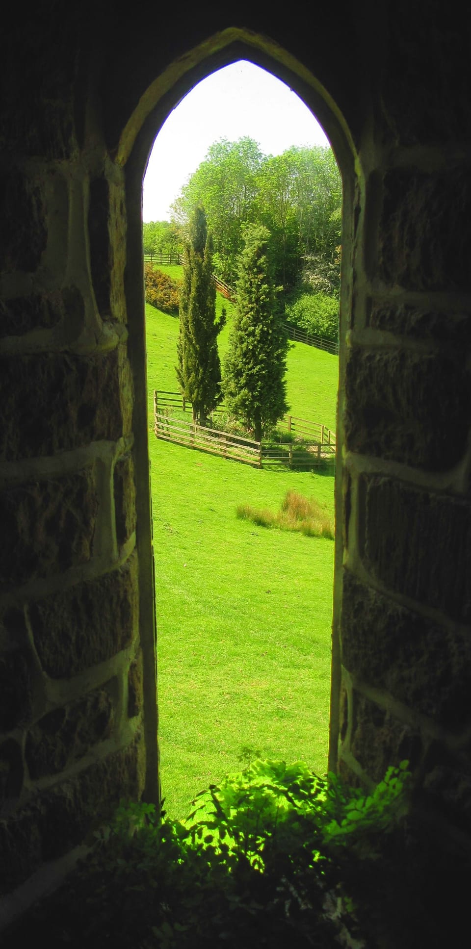 View From Hazelnut