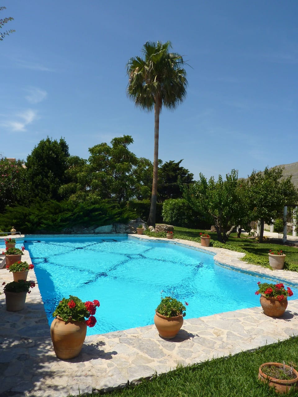Pool and Grounds