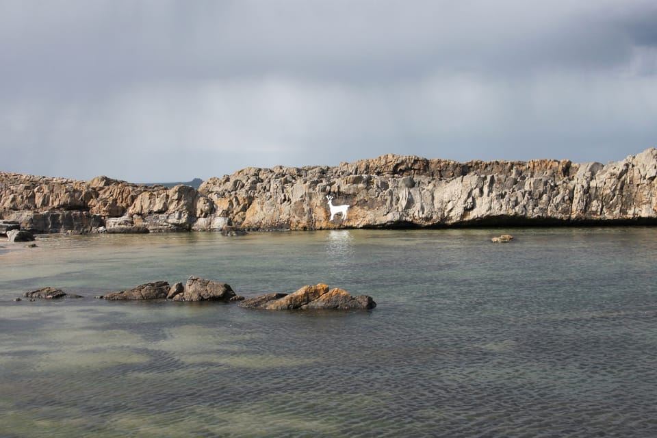 Stag Rock