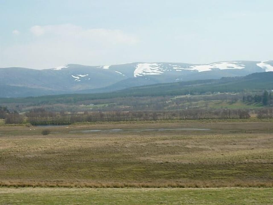 View from the decking