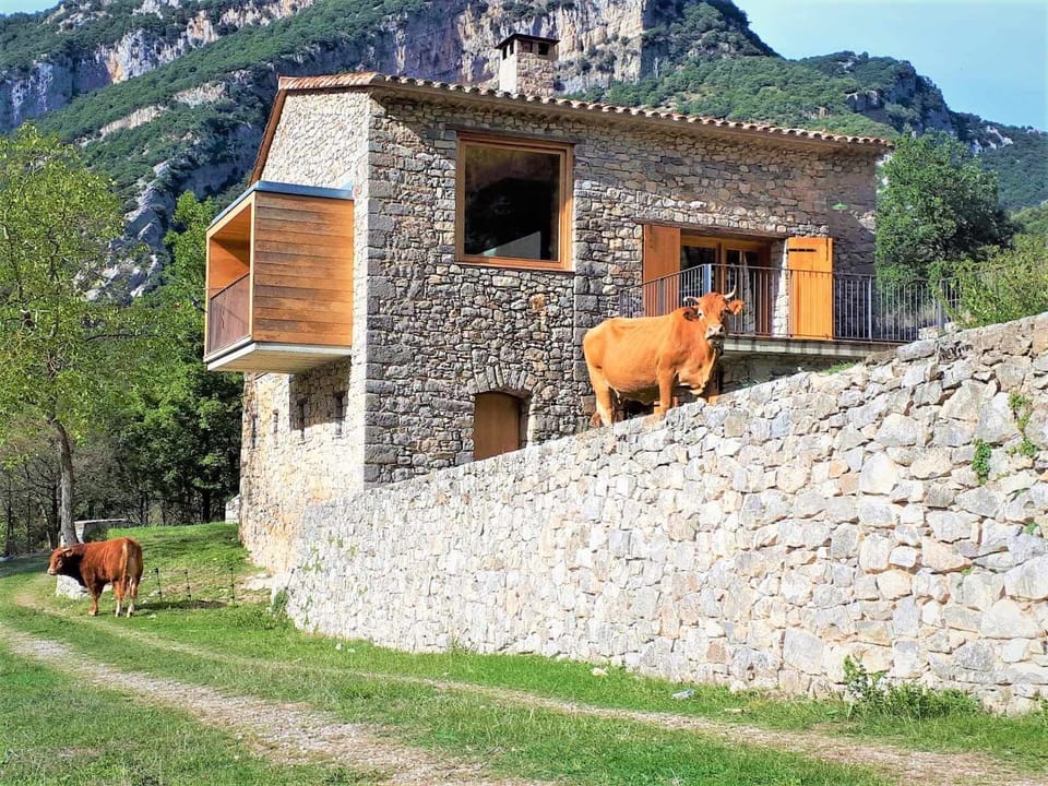 Property building,Facade/entrance,Animals