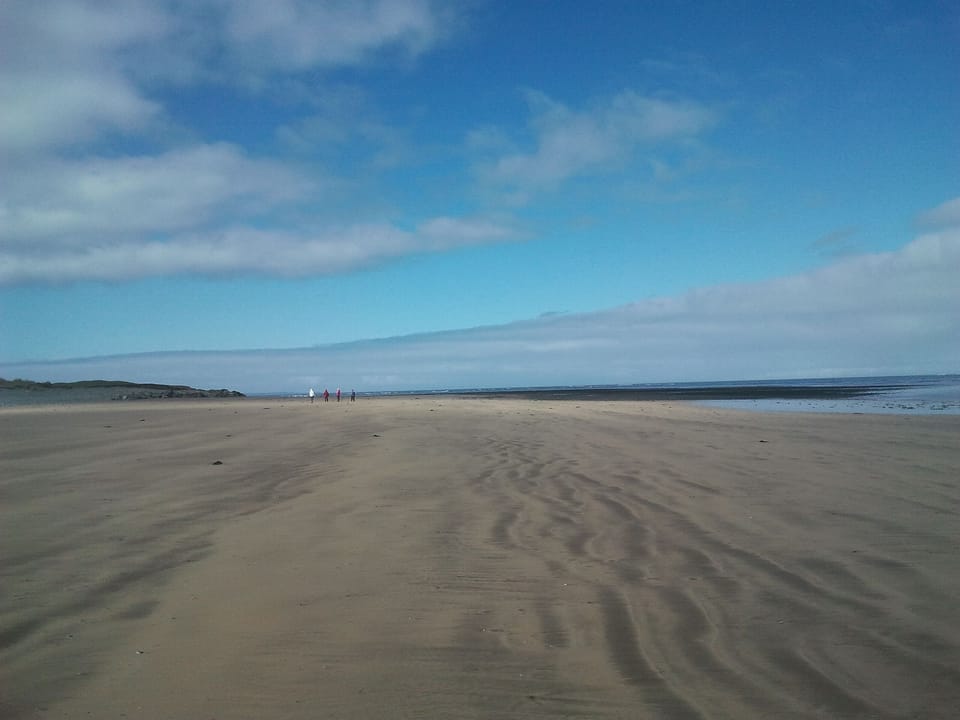 Beach north of Westward Ho!