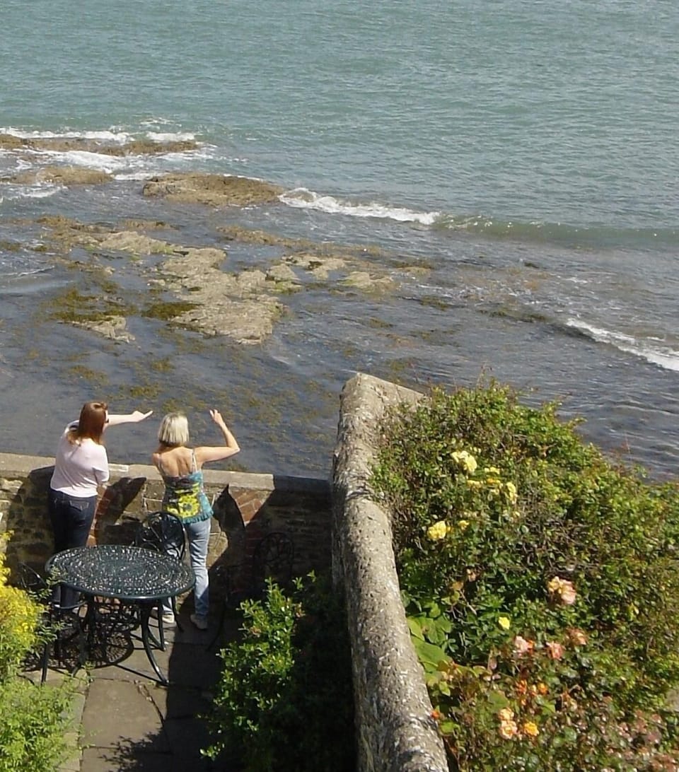 Estuary watching