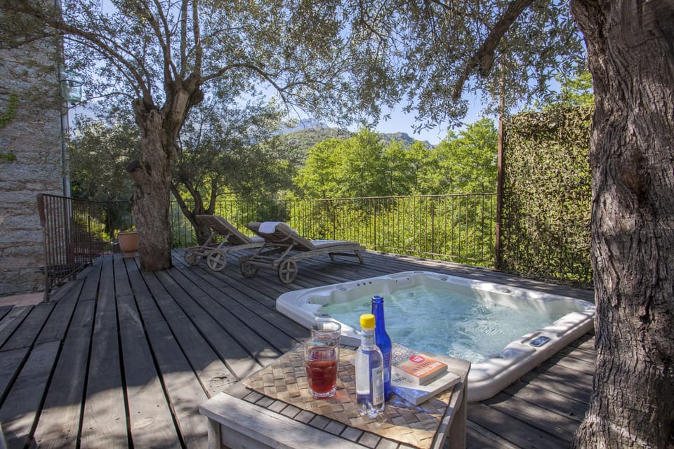 Outdoor spa tub