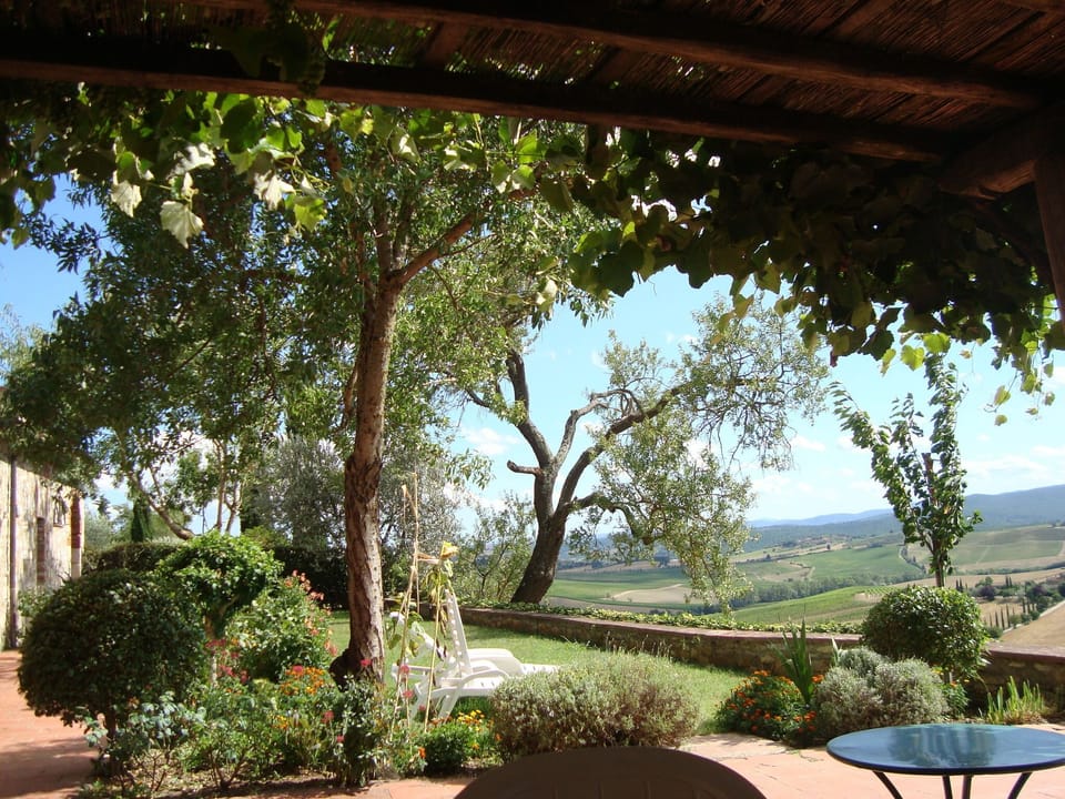 Our garden view from lunch table